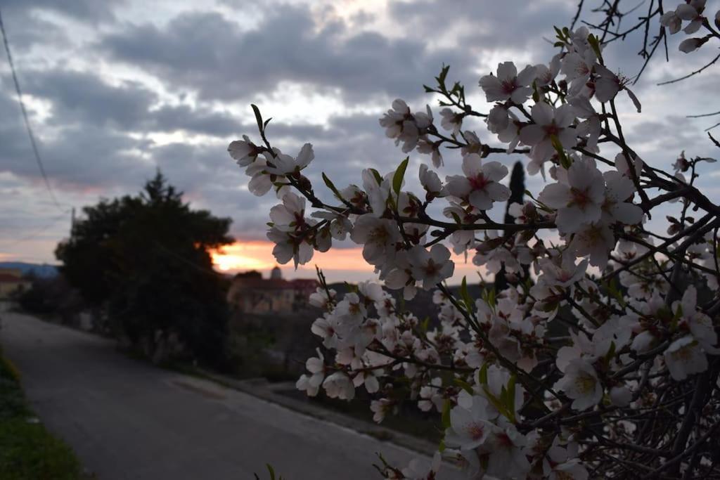 O Palaios Fournos Tou Andrea Appartement Kardhakáta Buitenkant foto